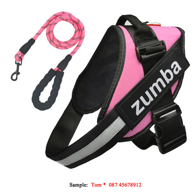 Dog Harness & Leash Set – Reflective, Breathable & Adjustable Fit - Doggy Dreamland