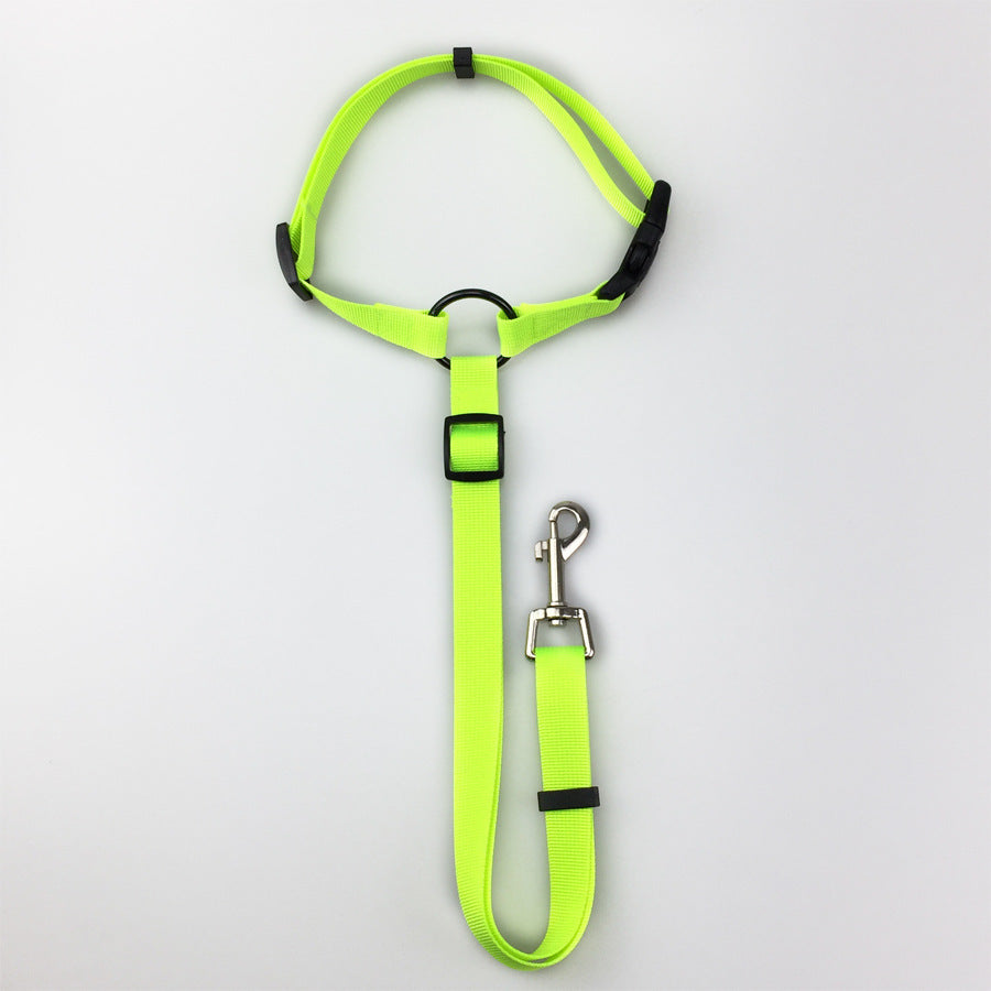 Multifunctional Pet Car Seatbelt & Leash – Secure Travel & Walks - Doggy Dreamland