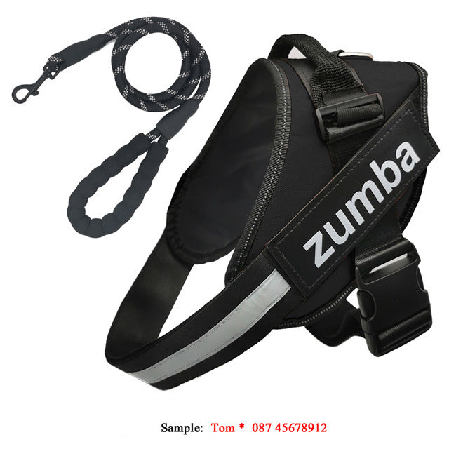 Dog Harness & Leash Set – Reflective, Breathable & Adjustable Fit - Doggy Dreamland