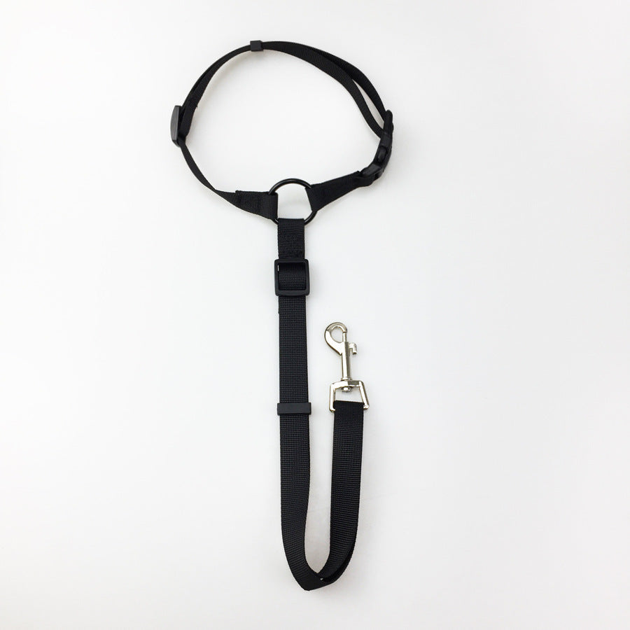 Multifunctional Pet Car Seatbelt & Leash – Secure Travel & Walks - Doggy Dreamland