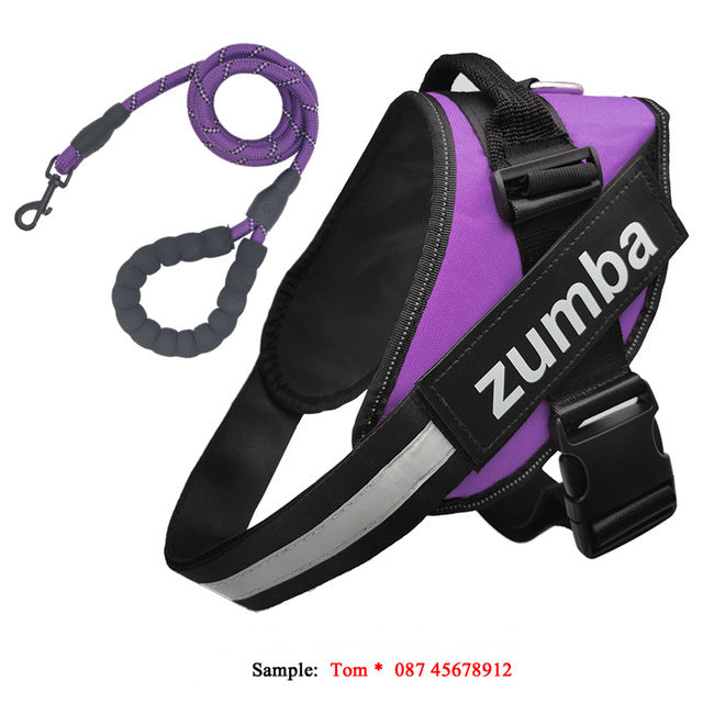 Dog Harness & Leash Set – Reflective, Breathable & Adjustable Fit - Doggy Dreamland