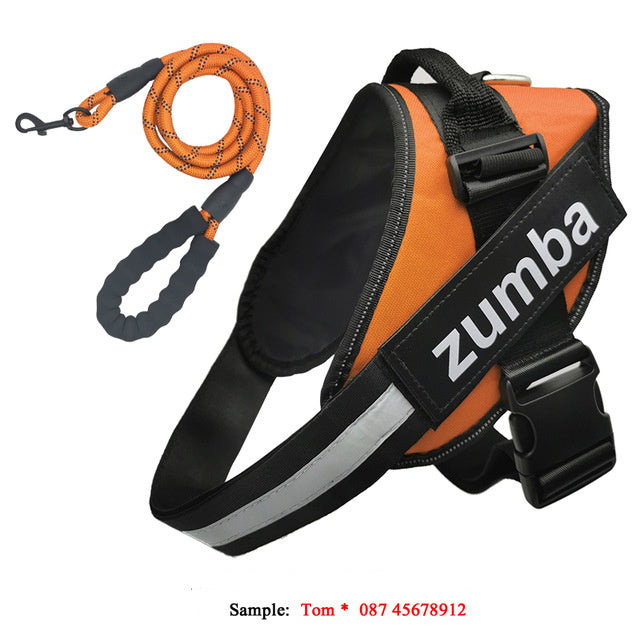 Dog Harness & Leash Set – Reflective, Breathable & Adjustable Fit - Doggy Dreamland