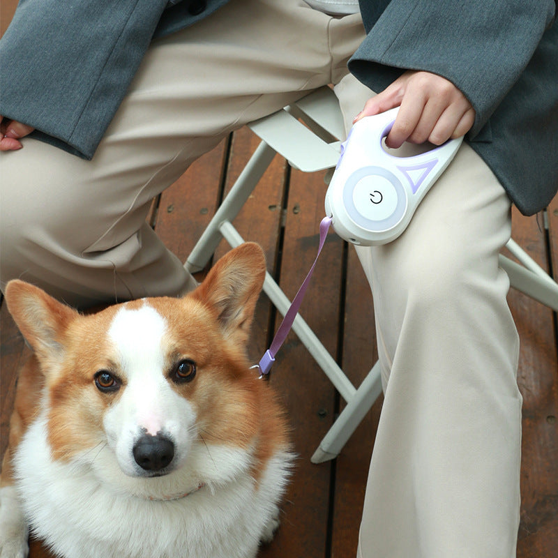 LED Spotlight Dog Leash and Collar – Smart, Retractable & Night Safe - Doggy Dreamland