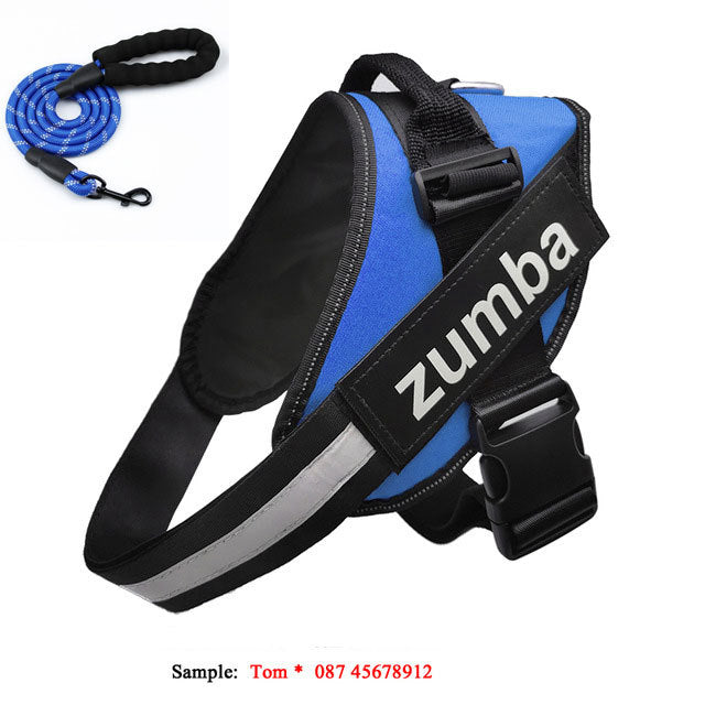 Dog Harness & Leash Set – Reflective, Breathable & Adjustable Fit - Doggy Dreamland