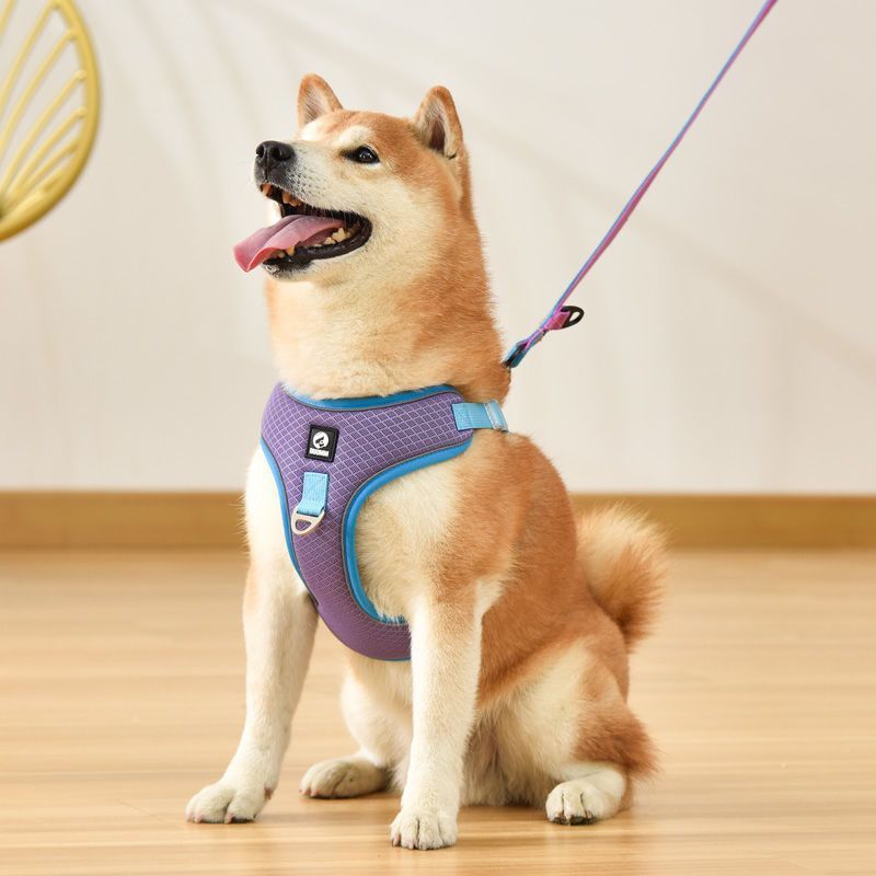 Breathable Reflective Harness & Leash Set for Dogs & Cats - Doggy Dreamland