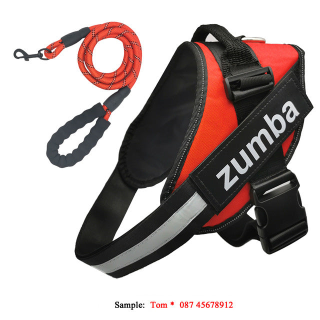 Dog Harness & Leash Set – Reflective, Breathable & Adjustable Fit - Doggy Dreamland