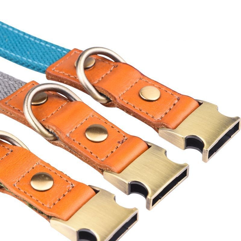 Leather Pet Collar – Comfortable & Durable Design - Doggy Dreamland