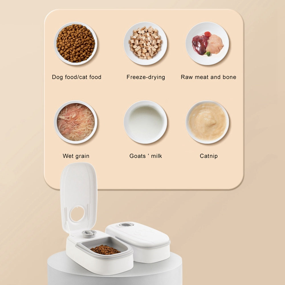 Smart Automatic Pet Feeder with Timer – Stainless Steel Bowl Food Dispenser for Cats and Dogs - Doggy Dreamland