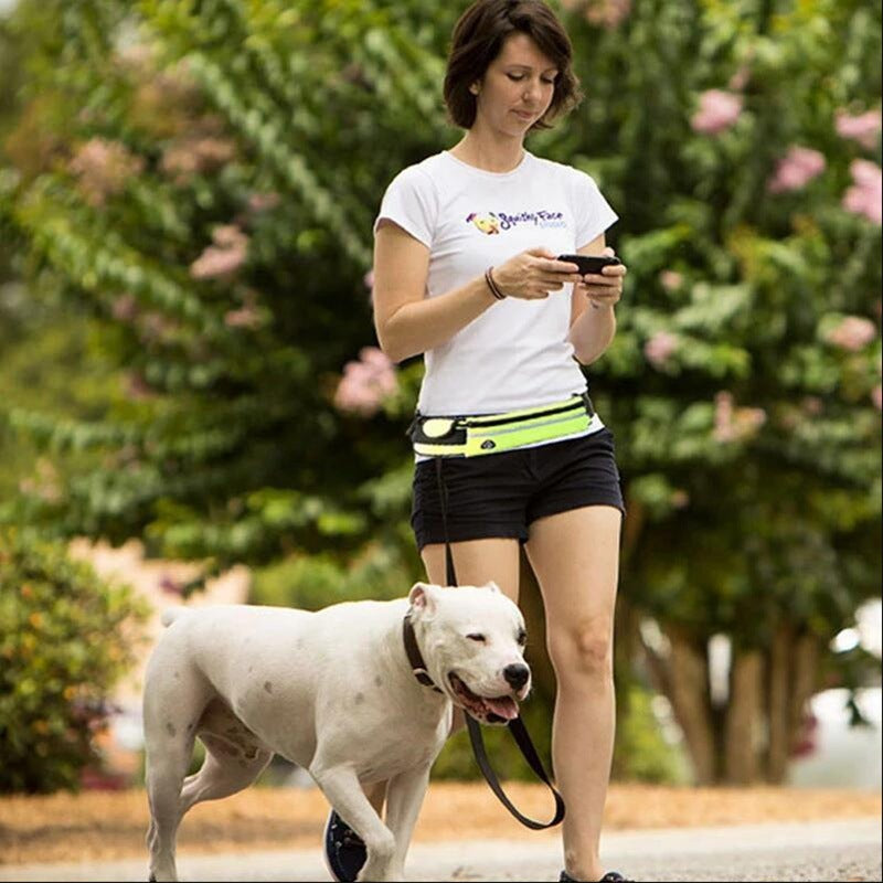 Ultimate hands-free dog leash: Adjustable, reflective, and designed for comfort and safety!