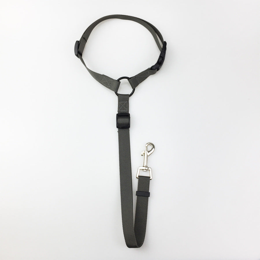 Multifunctional Pet Car Seatbelt & Leash – Secure Travel & Walks - Doggy Dreamland