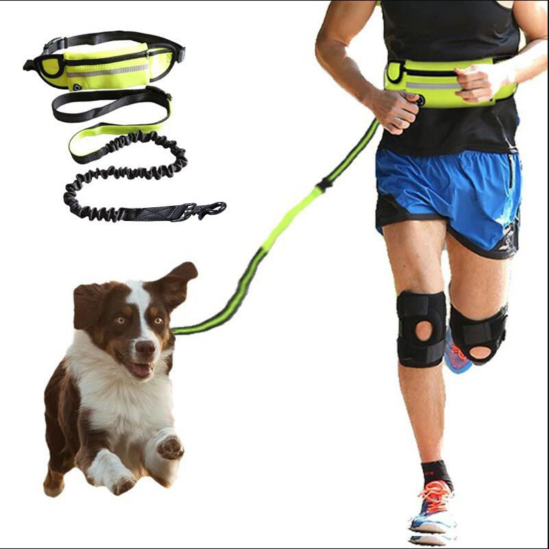 Ultimate hands-free dog leash: Adjustable, reflective, and designed for comfort and safety!