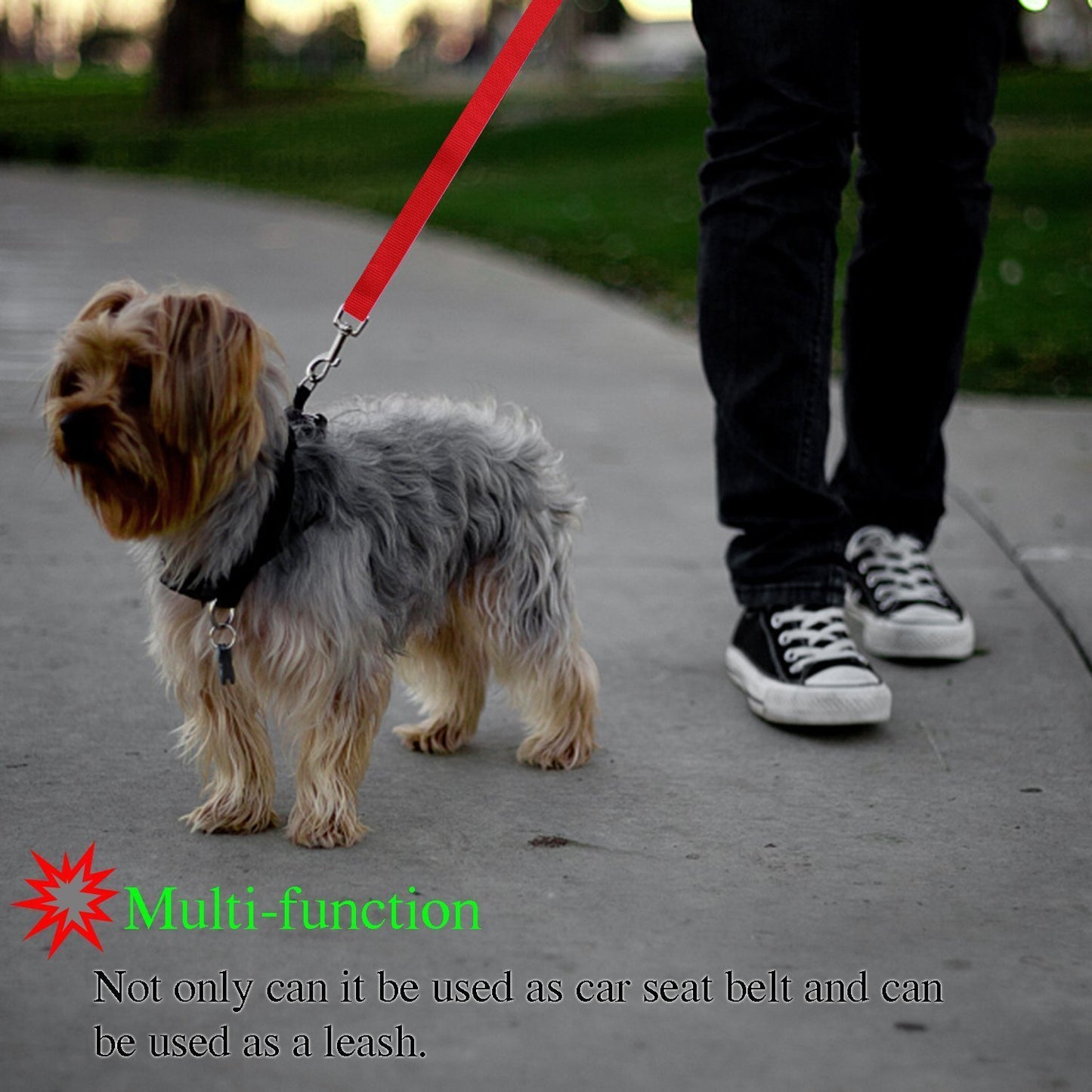 Multifunctional Pet Car Seatbelt & Leash – Secure Travel & Walks - Doggy Dreamland