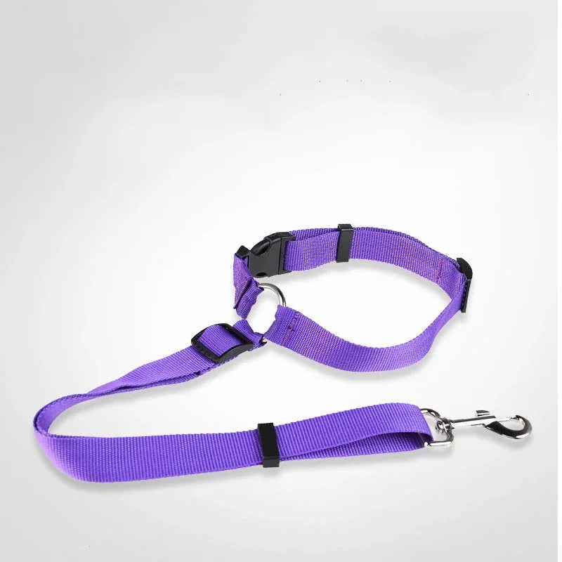 Dog Leash Seat Belt Strap for Safe Travel with Traction Collar Harness