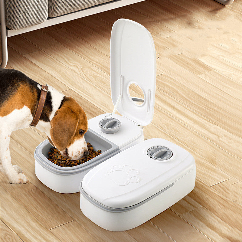 Smart Automatic Pet Feeder with Timer – Stainless Steel Bowl Food Dispenser for Cats and Dogs - Doggy Dreamland
